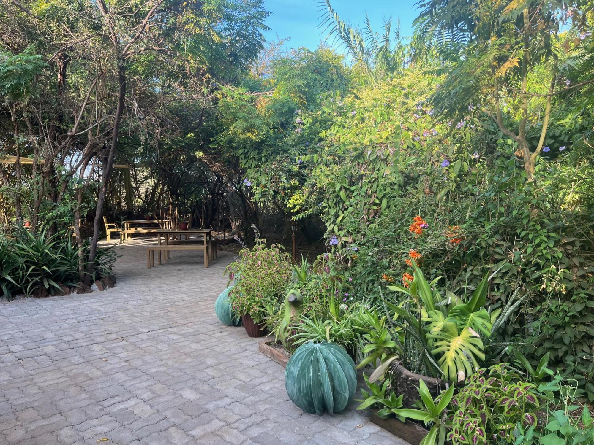 فندق Ikweta Safari Camp Maua المظهر الخارجي الصورة