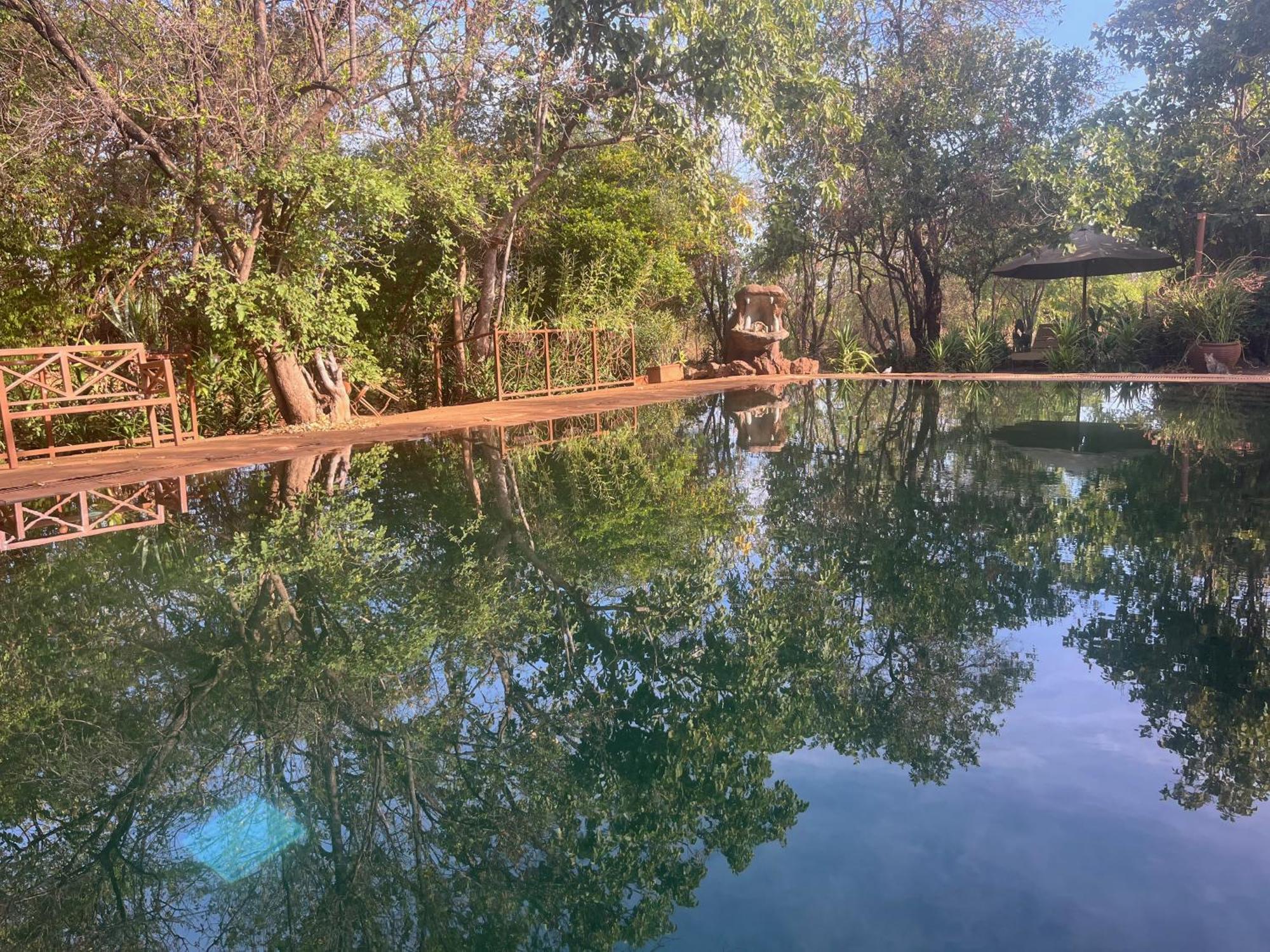 فندق Ikweta Safari Camp Maua المظهر الخارجي الصورة