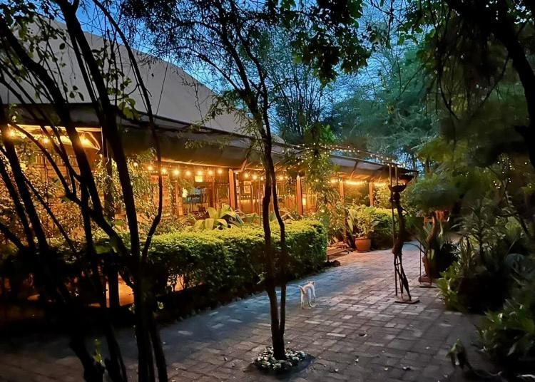 فندق Ikweta Safari Camp Maua المظهر الخارجي الصورة