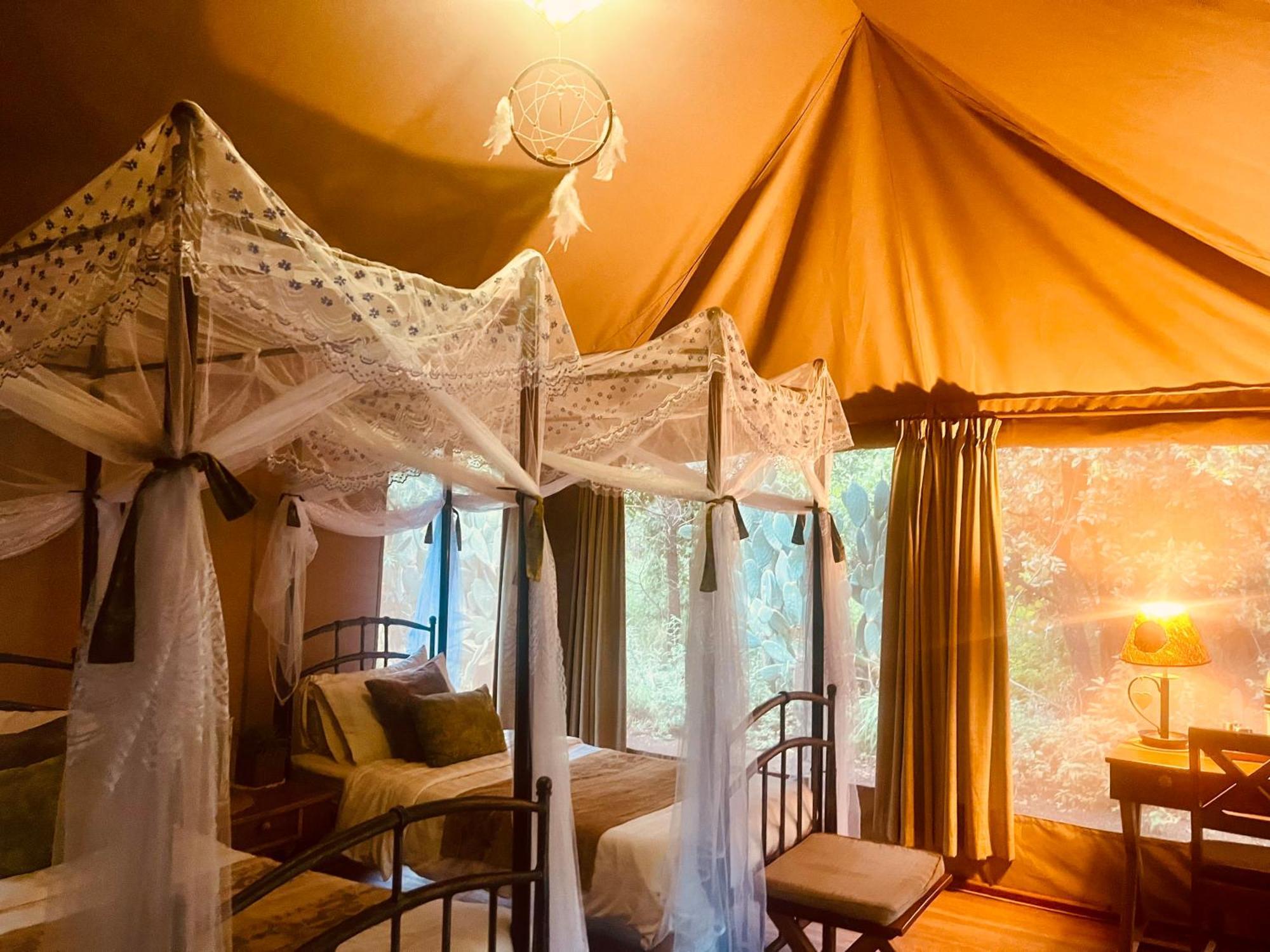 فندق Ikweta Safari Camp Maua المظهر الخارجي الصورة