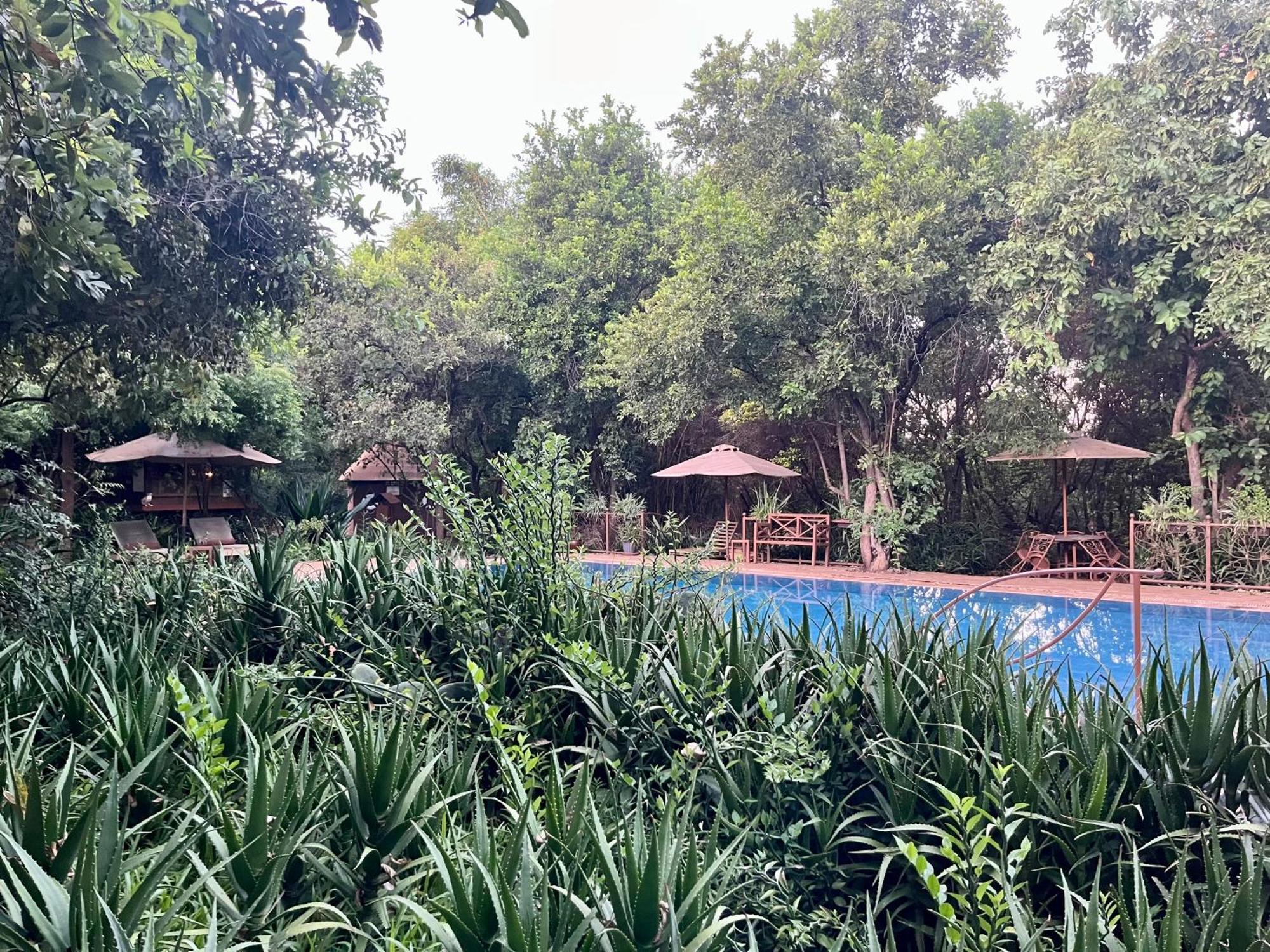 فندق Ikweta Safari Camp Maua المظهر الخارجي الصورة