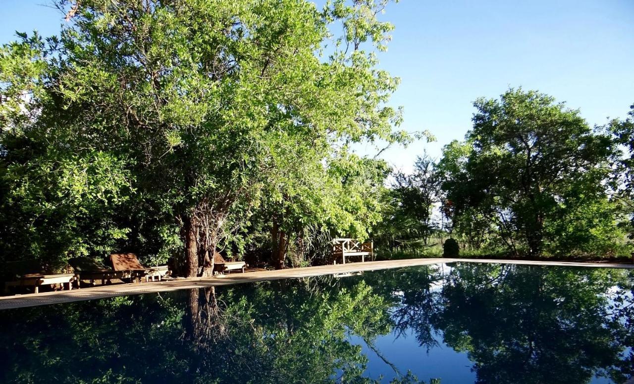 فندق Ikweta Safari Camp Maua المظهر الخارجي الصورة